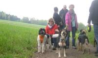 Hundeschule Bad Orb_Kr&auml;uterwanderung 14 (2)
